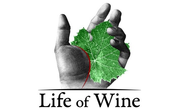 life of wine firenze 2014