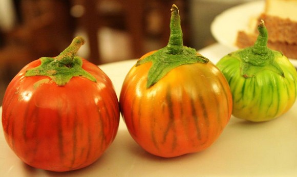 melanzana rossa di rotonda dop580c