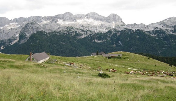 montasio580