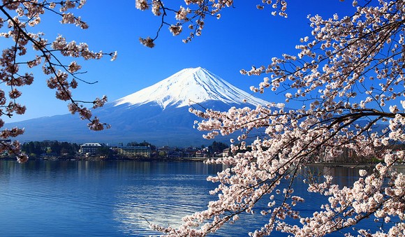 monte fuji580