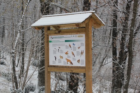 neve monte barro