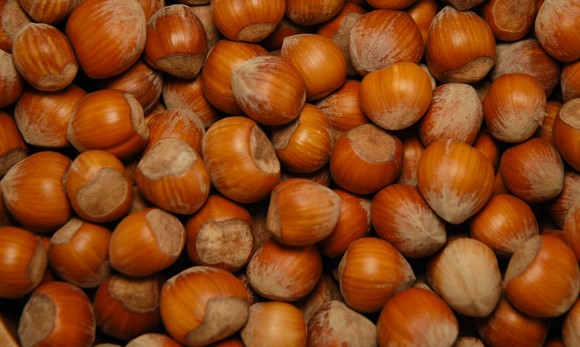 nocciola piemonte igp580a