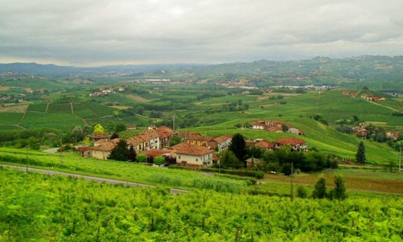 nocciola piemonte igp alta langa