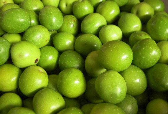 olio belice580 d