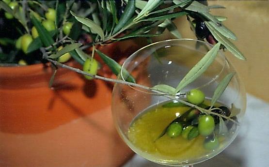 olio coratina