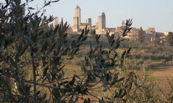 olio terre di siena580b
