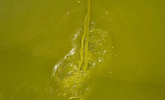 olio toscano igp580