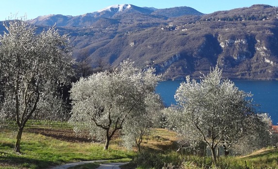 paesaggio1