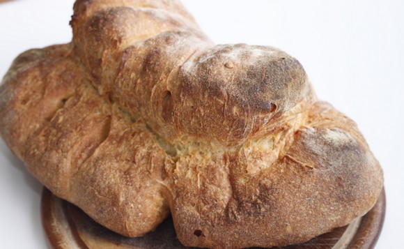 pane matera580