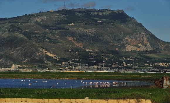 pantelleria scorcio580