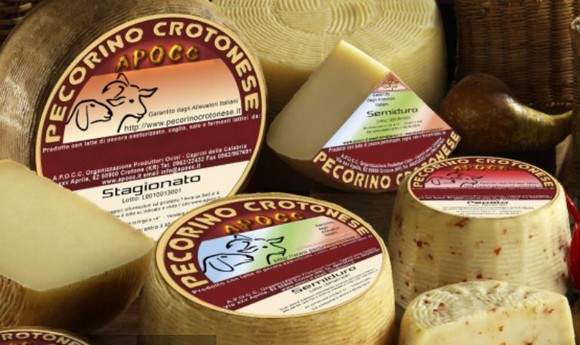pecorino-crotonese dop580c