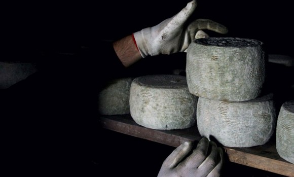 pecorino crotonese dop580a