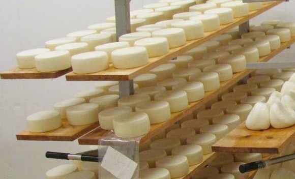 pecorino crotonese dop580e