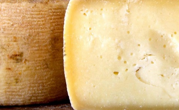 pecorino filiano dop580b