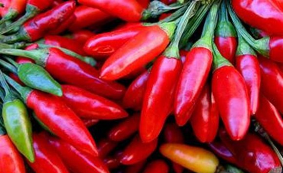 peperoncino580