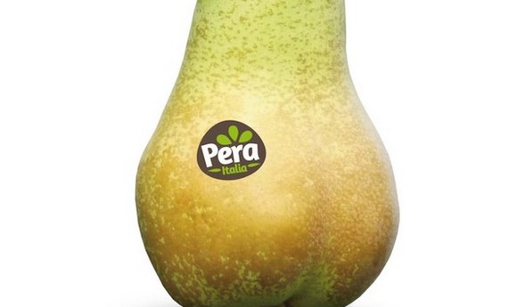 pera sing. 580
