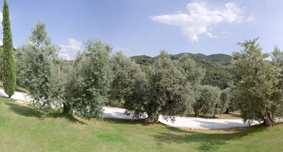 pianoro580a
