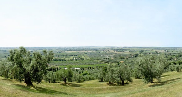 pianoro580b