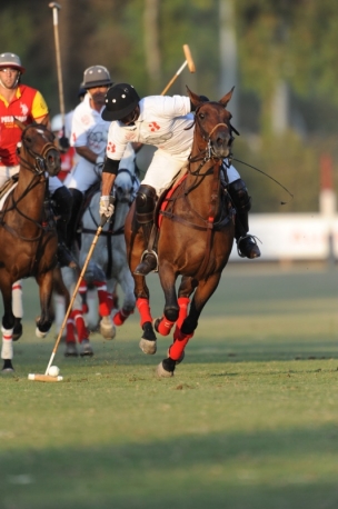 polo cavallo1