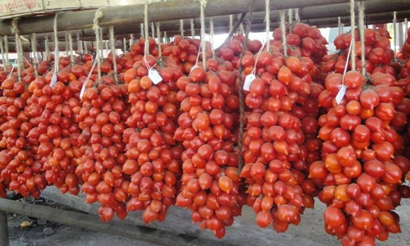 pomodori-del-piennolo580