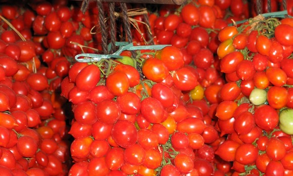 pomodorini piennolo vesuvio dop580e