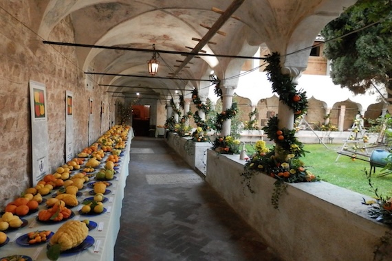 primavera bresciana 1