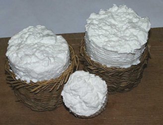 ricotta sagra