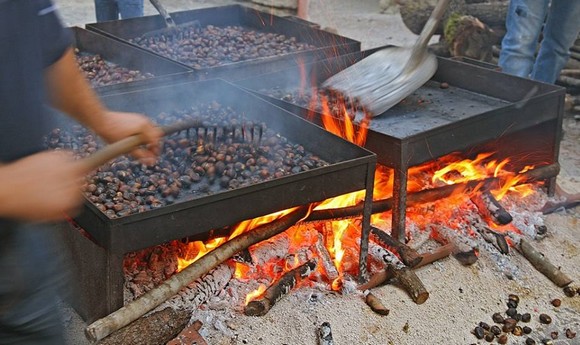 sagra CASTAGNA580