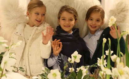 scervino