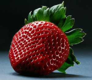 fragola copy