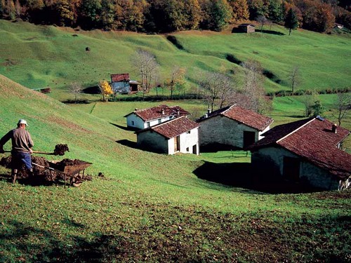 parco500_copy