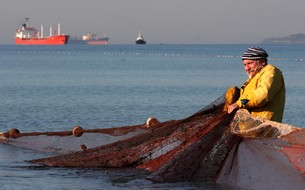 pescatore_rid