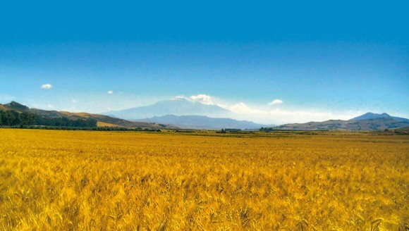 territorio